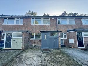 Photo 12- click for photo gallery